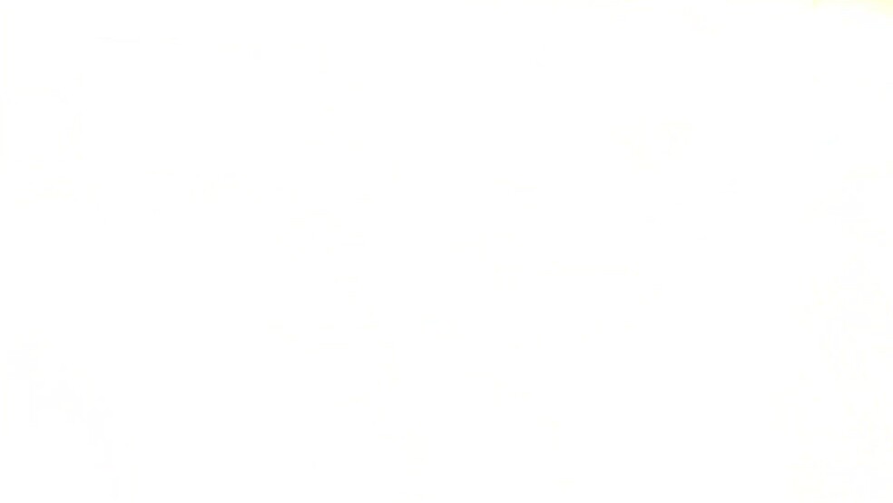 22358 Bridgeville hwy, Seaford, DE à vendre - Vidéo sur l’inscription commerciale - Image 2 de 4