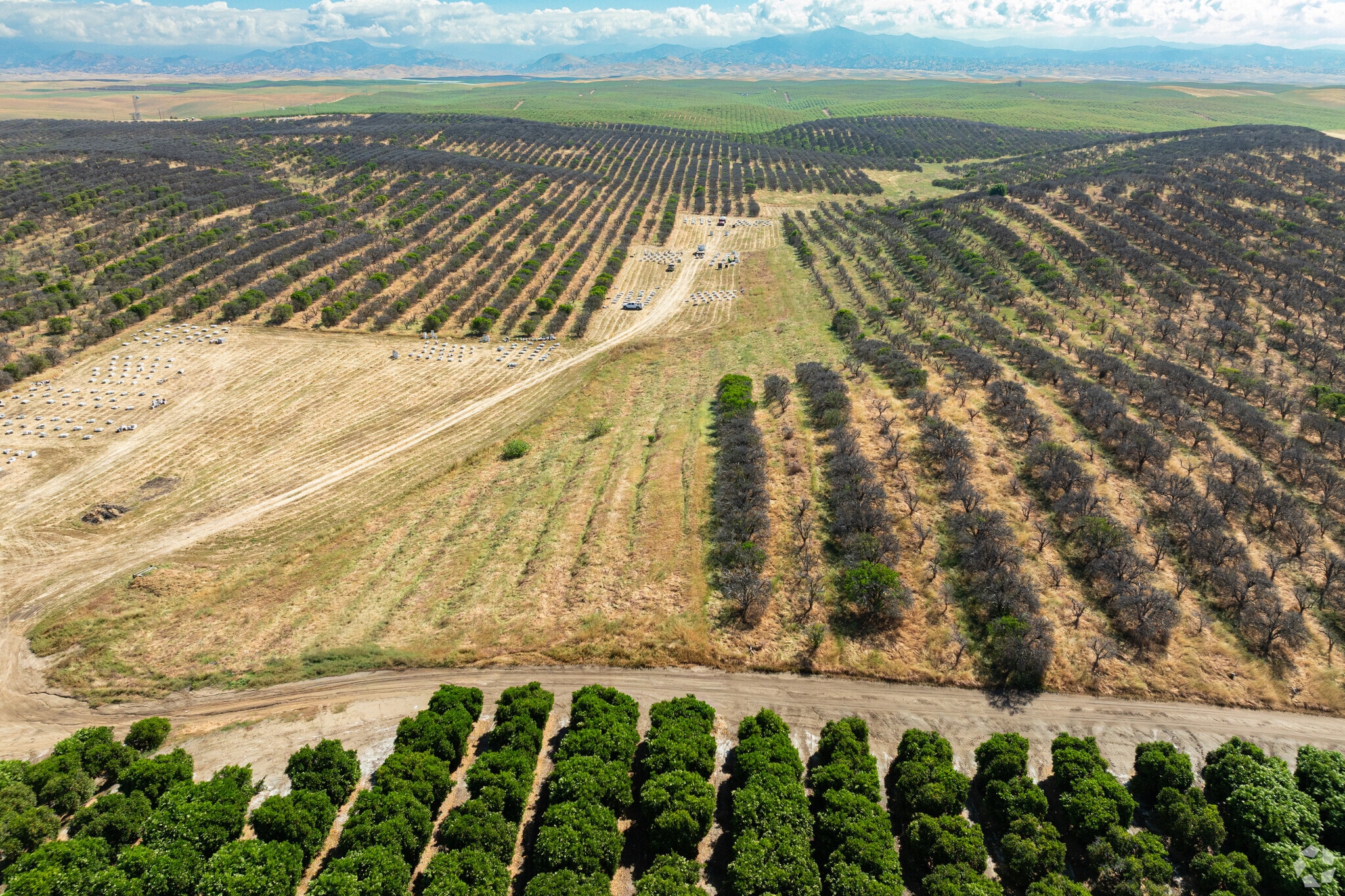 24007 Avenue 2, Delano, CA for sale Primary Photo- Image 1 of 15