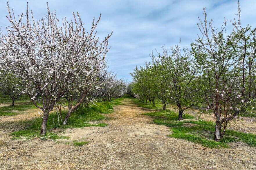I-5, Cantua Creek, CA for sale - Building Photo - Image 2 of 12