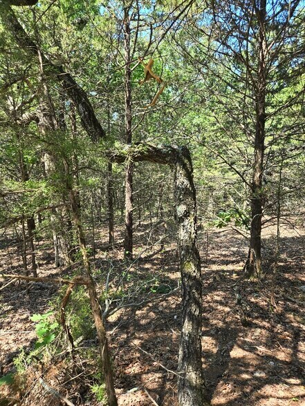 20765 State Highway 42, Belle, MO à vendre - Autre - Image 3 de 6