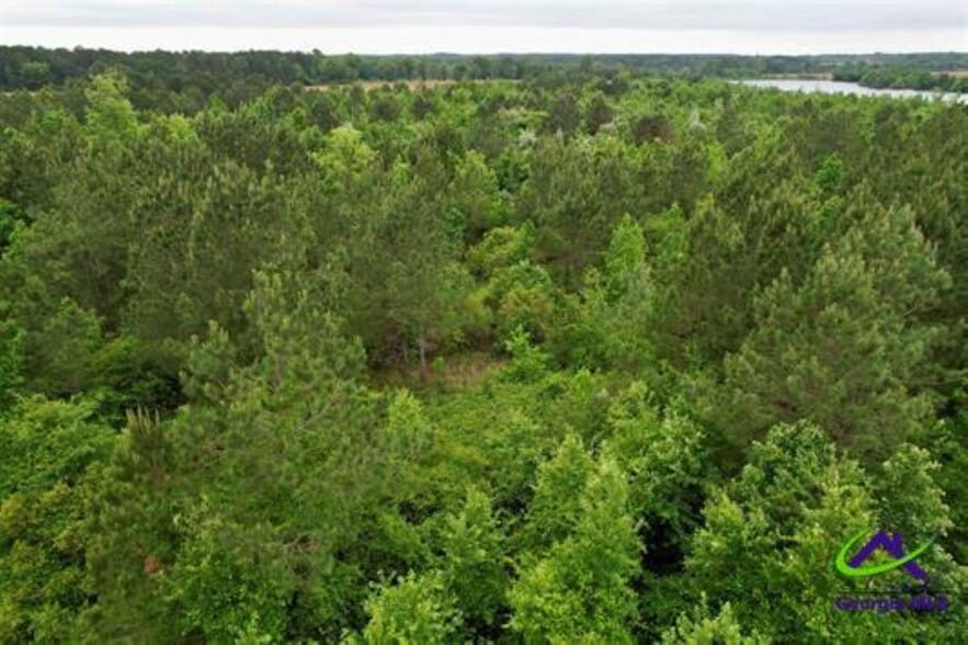 Chester Alamo Hwy, Chester, GA for sale - Building Photo - Image 2 of 10