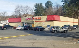 Plus de détails pour 14 Spring St, Tremont, PA - Commerce de détail à vendre