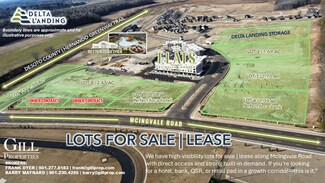 Plus de détails pour 0 MCINGVALE Rd, Hernando, MS - Terrain à vendre