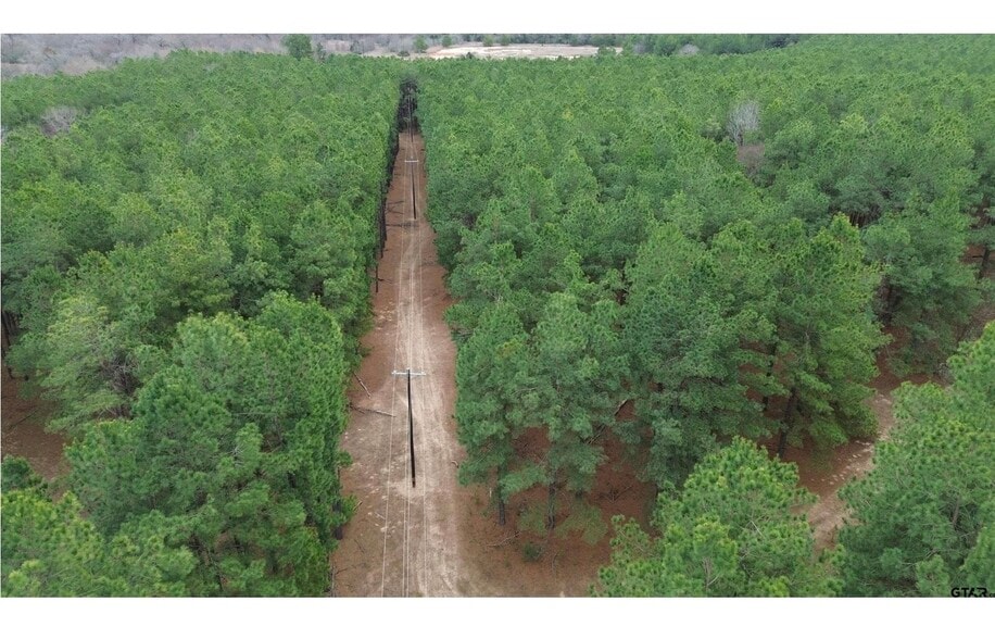 250 County Road 296 & 120 FCR 298, Oakwood, TX à vendre - Photo du bâtiment - Image 3 de 14