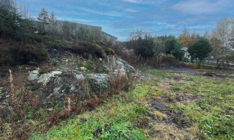 Land in Newtonmore for sale - Primary Photo - Image 1 of 3