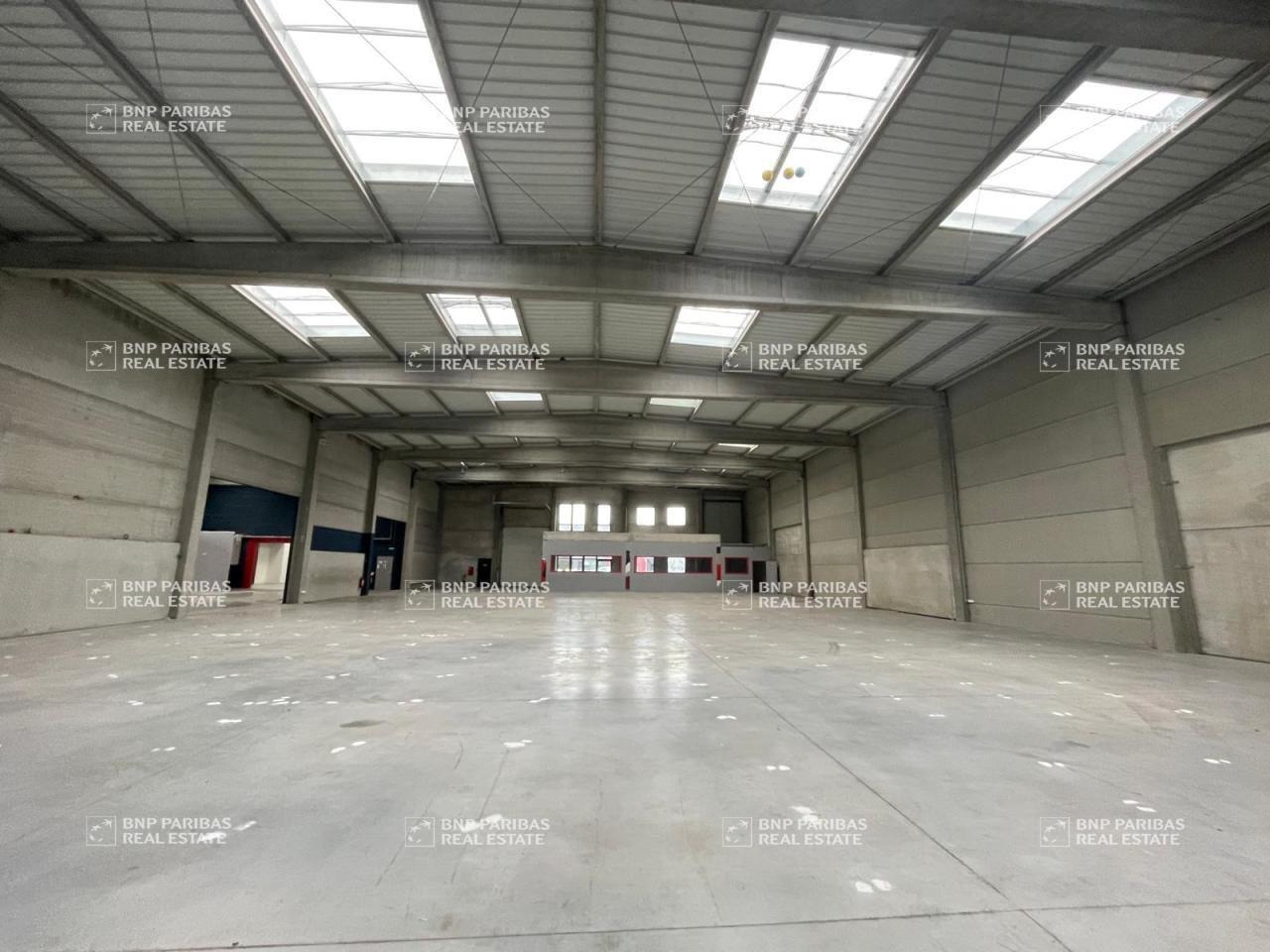 Flex in Hallennes-lez-Haubourdin for lease Building Photo- Image 1 of 17