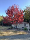 3102 Chicken Coop Rd, Sequim WA - Owner Financed Property