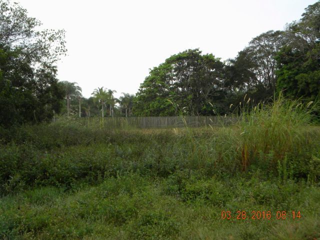 11200 NW 14th st, Plantation, FL à vendre - Autre - Image 3 de 5