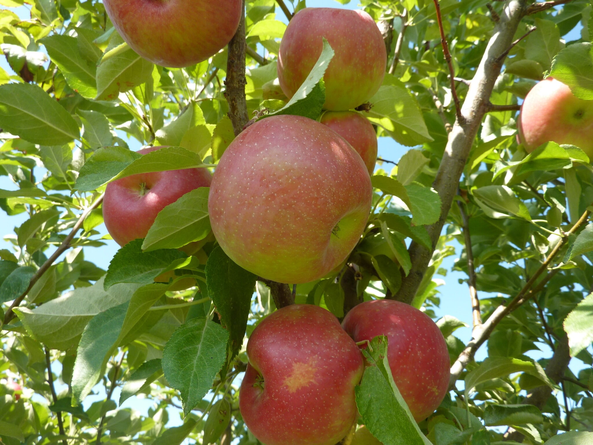 157 Hergenrider Rd, Bridger, MT for sale Building Photo- Image 1 of 53