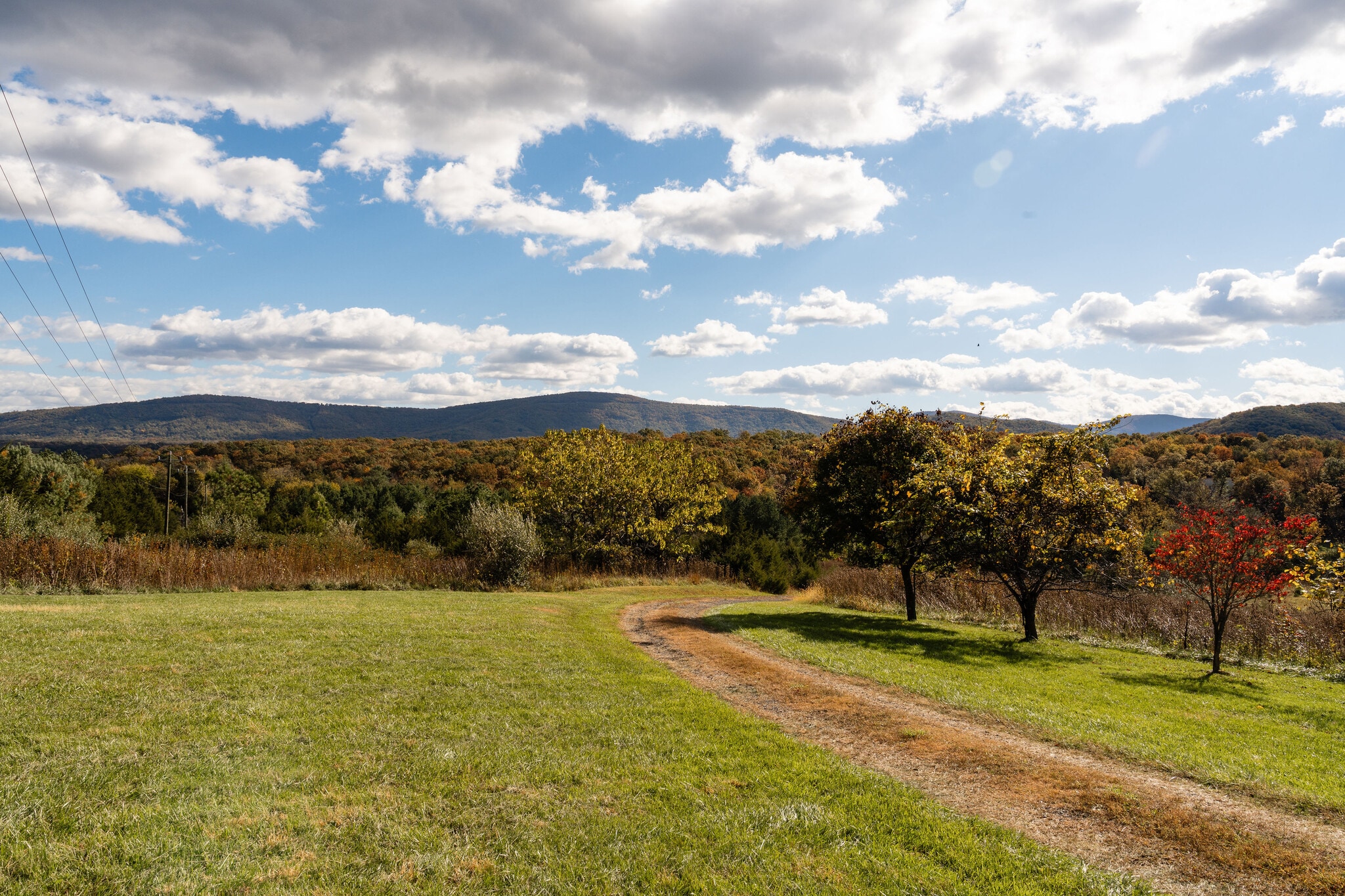 461 Thunderbird Rd, Bentonville, VA for sale Primary Photo- Image 1 of 79