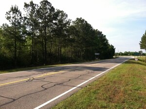 13974-13476 N Carolina 87 Hwy, Tar Heel, NC for sale - Building Photo - Image 2 of 4