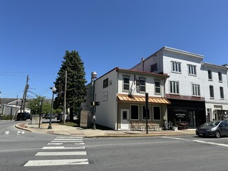 Plus de détails pour 105 E Lancaster Ave, Downingtown, PA - Vente au détail à louer