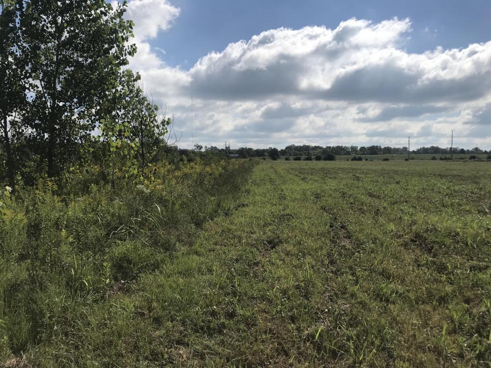 Kings Creek Drive D, Tupelo, MS for sale Primary Photo- Image 1 of 6