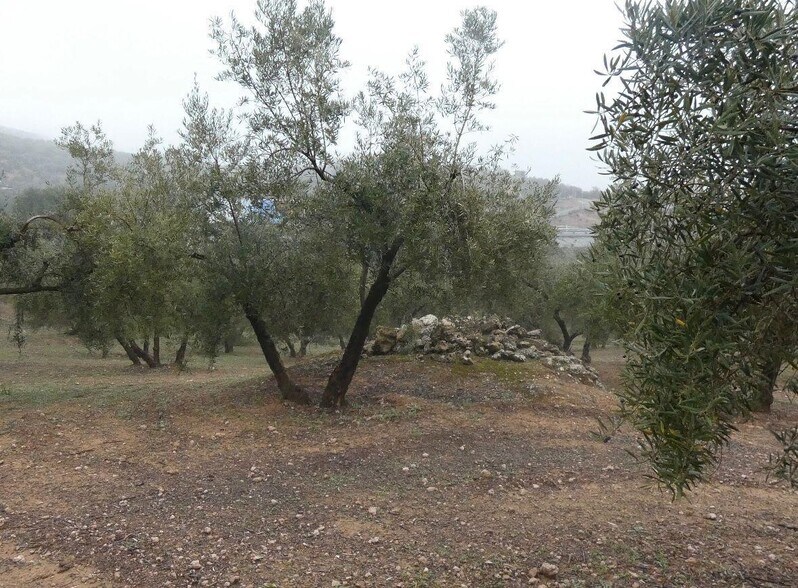 Land in Peligros, Granada for sale - Building Photo - Image 1 of 28