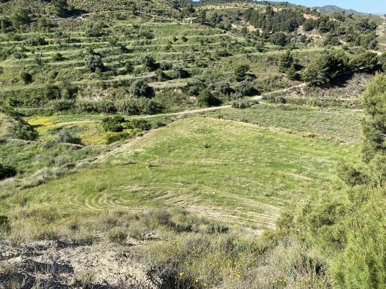 Lorca, S/N, Murcia, Murcia à vendre - Plan de site - Image 3 de 10