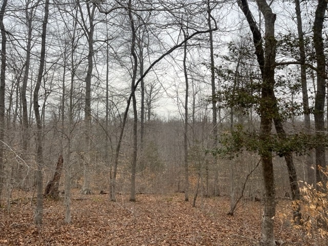 7585 Mason Springs Rd, La Plata, MD for sale - Other - Image 3 of 13