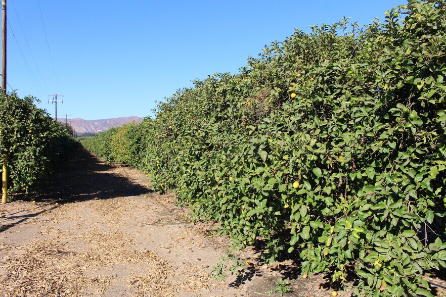 0 Price Road, Somis, CA à vendre - Autre - Image 3 de 6