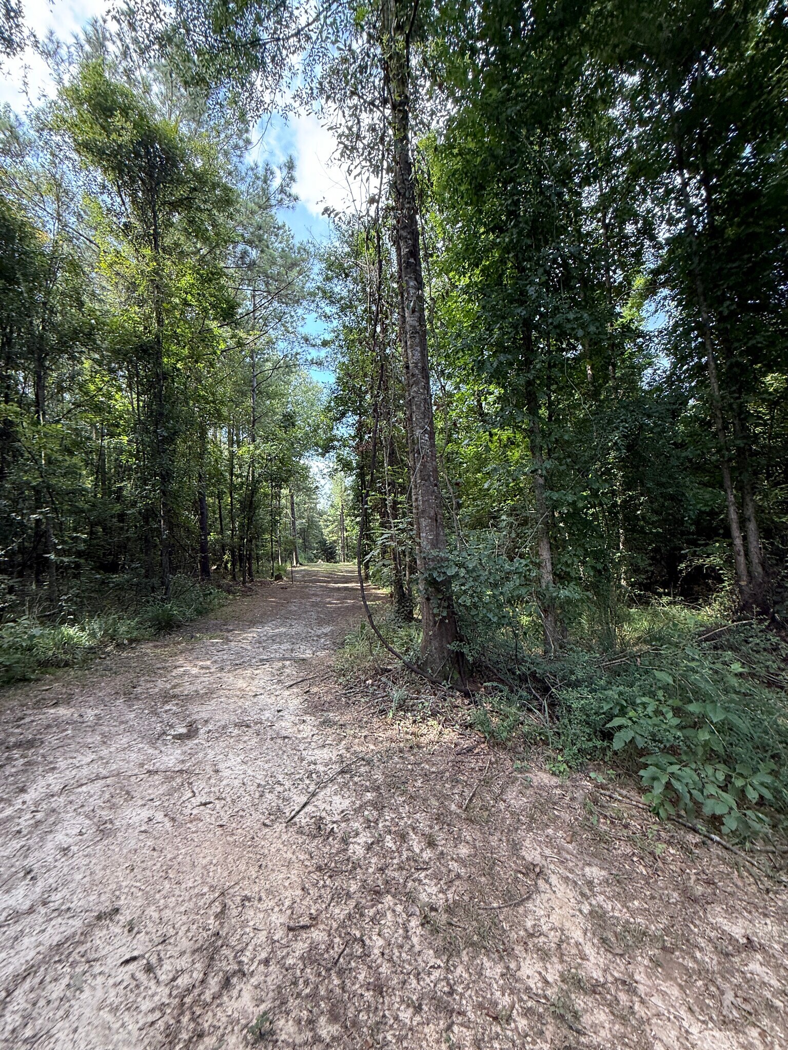 00 MONTGOMERY RD rd, Summit, MS à vendre Photo principale- Image 1 de 1