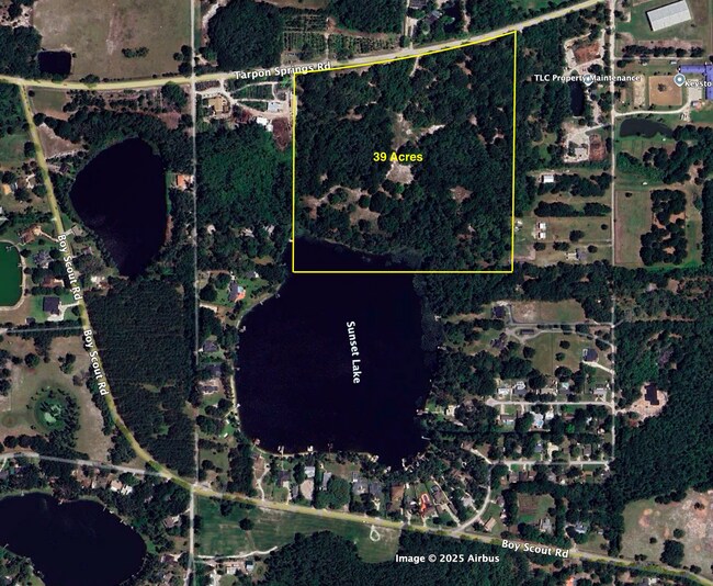 Plus de détails pour 0000 Tarpon Springs Rd, Odessa, FL - Terrain à vendre