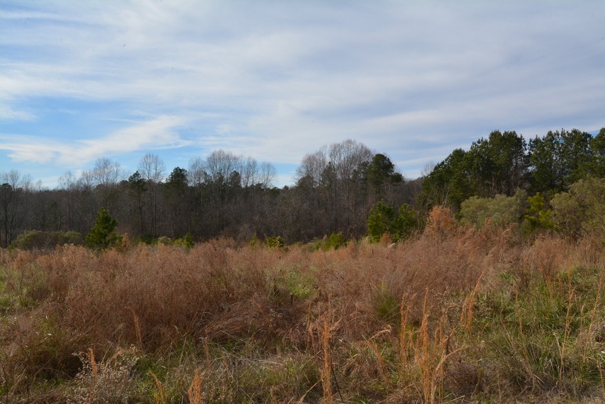 1200 Granite Falls Blvd, Rolesville, NC for sale - Other - Image 3 of 14