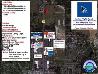 More details for Highway 301 Parcels Zephyrhills FL – Land for Sale, Zephyrhills, FL