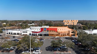 Plus de détails pour 27327-27424 Wesley Chapel Blvd, Wesley Chapel, FL - Commerce de détail à louer