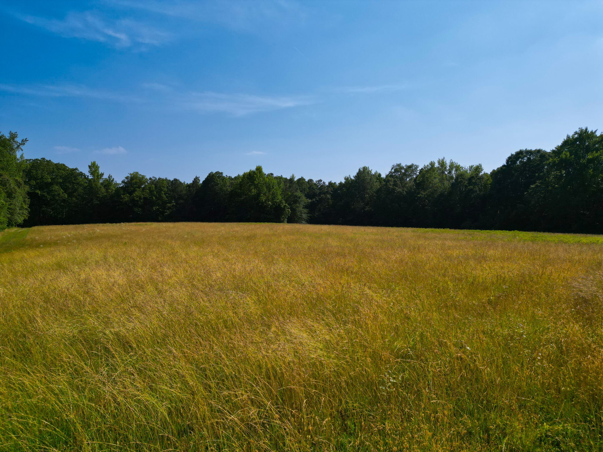 13601 River Rd, Chesterfield, VA for sale Primary Photo- Image 1 of 6