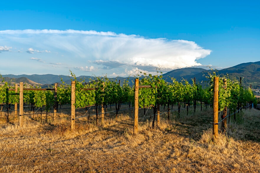 786 Pompadour Dr, Ashland, OR à vendre - Photo du bâtiment - Image 3 de 83