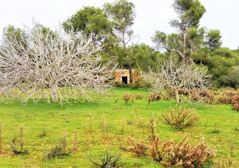 Land in Santanyí, Islas Baleares for sale - Building Photo - Image 3 of 7
