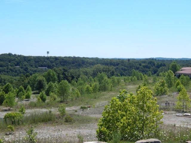 00 Prairie Dunes Dr, Branson, MO à vendre - Autre - Image 1 de 1