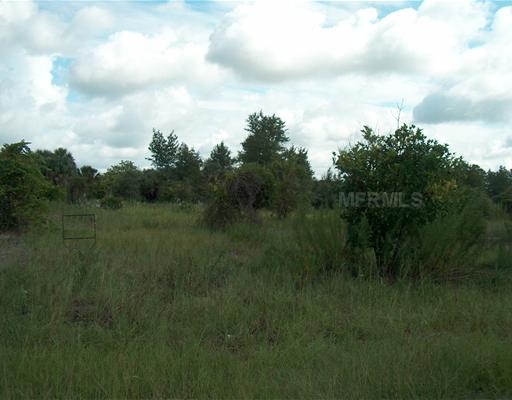 Eastside Ln, Osteen, FL for sale - Building Photo - Image 1 of 1