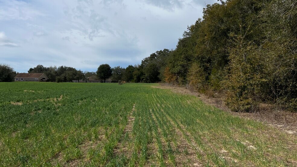 Hwy 326, Ocala, FL à vendre - Photo du bâtiment - Image 3 de 20