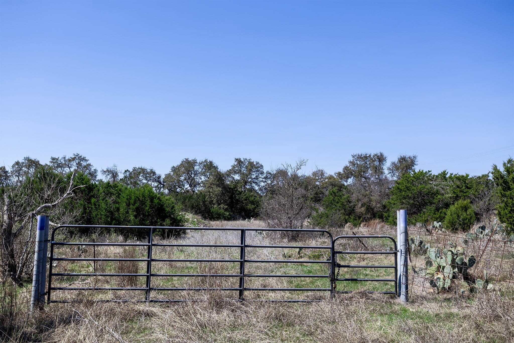 107 Tiller dr, Georgetown, TX for sale Primary Photo- Image 1 of 40