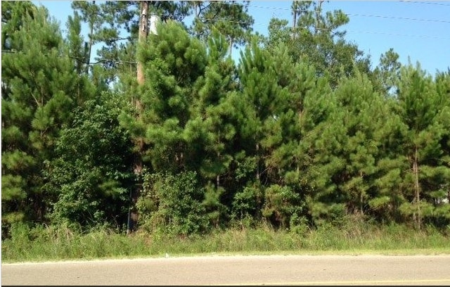 63380 Old Military Rd, Pearl River, LA à vendre - Photo principale - Image 3 de 6