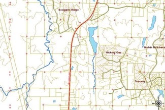 Plus de détails pour 2240 Buchanan Hwy, Dallas, GA - Terrain à vendre