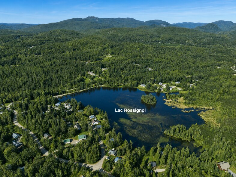 Ch Du Vison, Lac-superieur, QC à vendre - Photo du bâtiment - Image 3 de 9