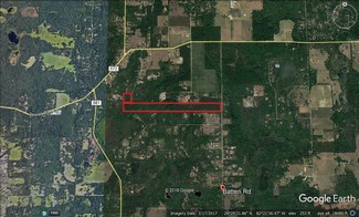 Plus de détails pour 00 Batten Rd, Brooksville, FL - Terrain à vendre