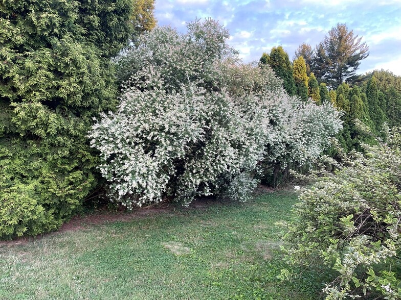 12240 Thornton Rd, Philadelphia, PA for sale - Other - Image 2 of 2