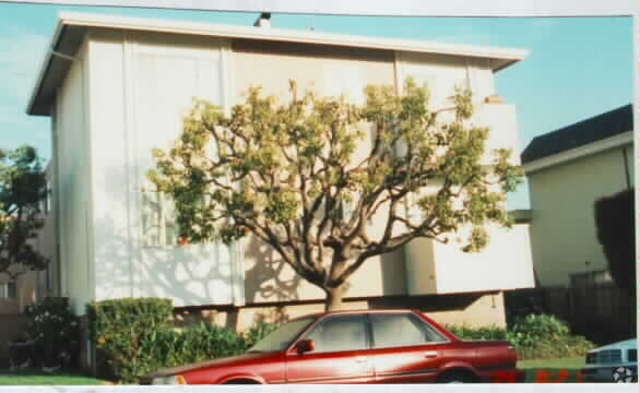 472-480 Lincoln Cir, Millbrae, CA à vendre - Photo du bâtiment - Image 3 de 13