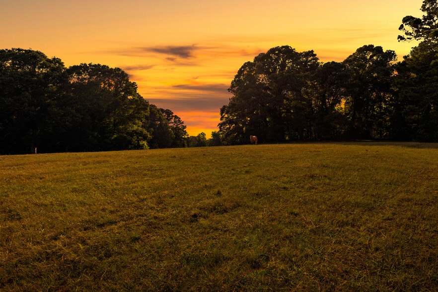 4091 Hollonville Rd, Williamson, GA for sale - Other - Image 2 of 65