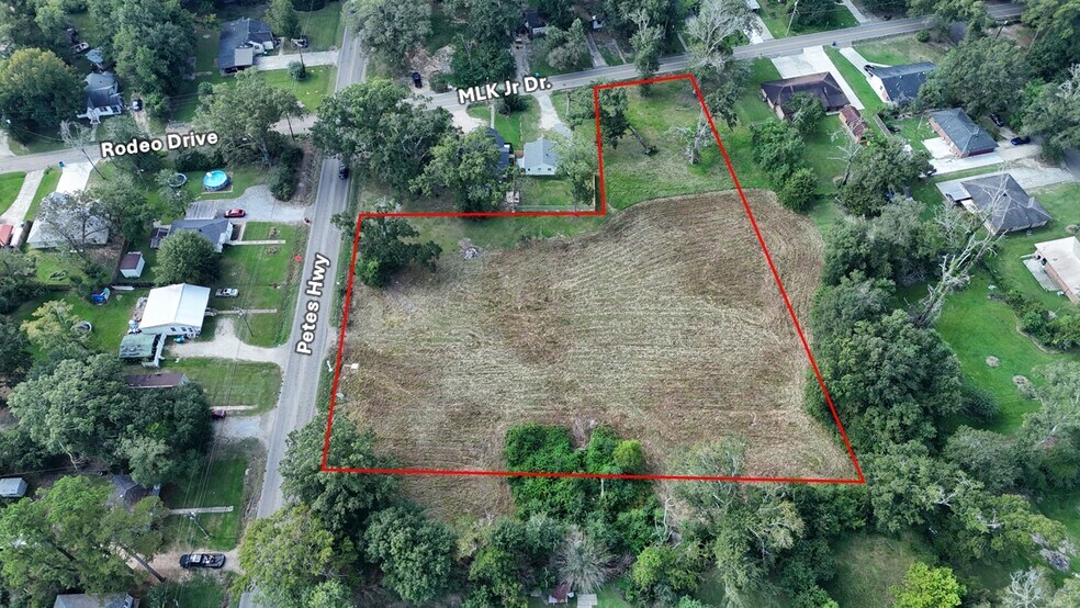 309 Petes Hwy, Denham Springs, LA à vendre - Photo du bâtiment - Image 3 de 8