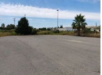 Industrial in Elche for lease - Construction Photo - Image 2 of 6
