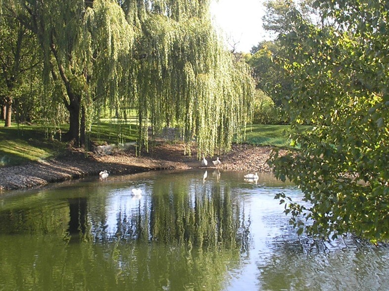 1130 W Lake Cook Rd, Buffalo Grove, IL à louer - Photo du bâtiment - Image 3 de 16