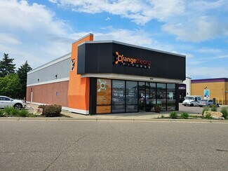 Plus de détails pour 8621 E Point Douglas Rd, Cottage Grove, MN - Commerce de détail à vendre