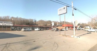 More details for 713-725 Highway 99, Waynesboro, TN - Retail for Sale