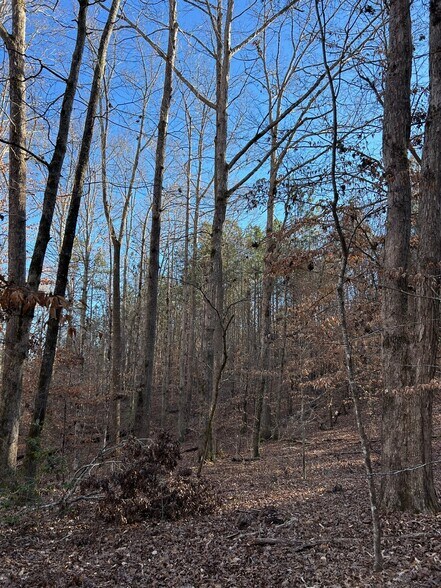 000 Fairview Church Rd, Union, SC for sale - Building Photo - Image 2 of 7