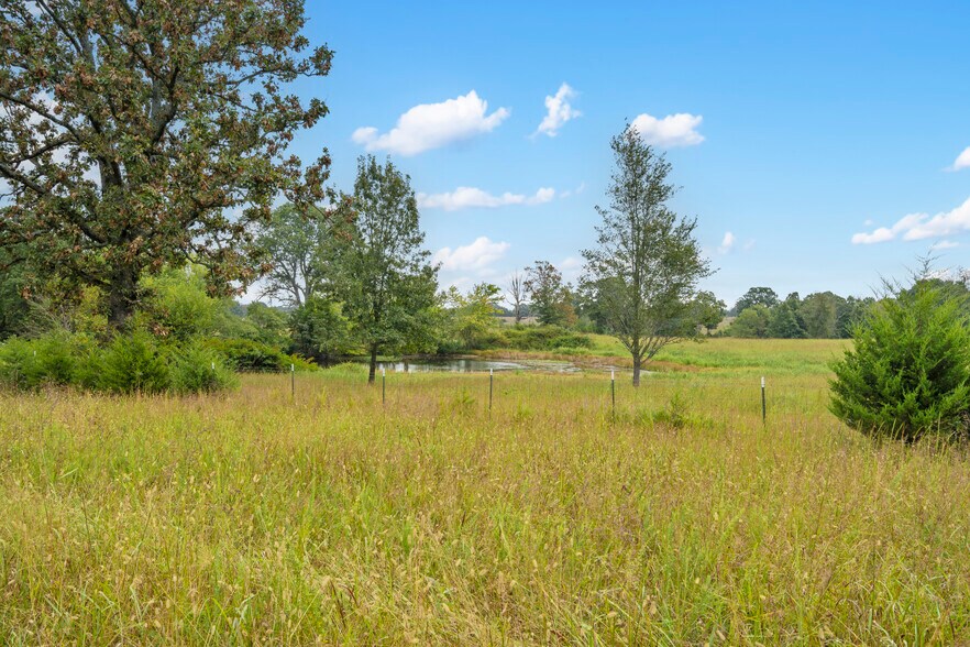 808 Coon Ridge rd, Galena, MO à vendre - Photo du bâtiment - Image 2 de 19