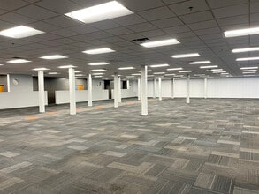 3011 University Center Dr, Tampa, FL for lease Interior Photo- Image 1 of 3