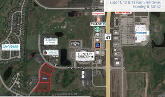 More details for Farm Hill Dr & Regency Pky, Huntley, IL - Land for Sale