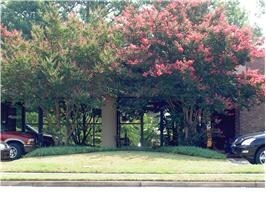 210 Exchange Pl NW, Huntsville, AL for lease Primary Photo- Image 1 of 6